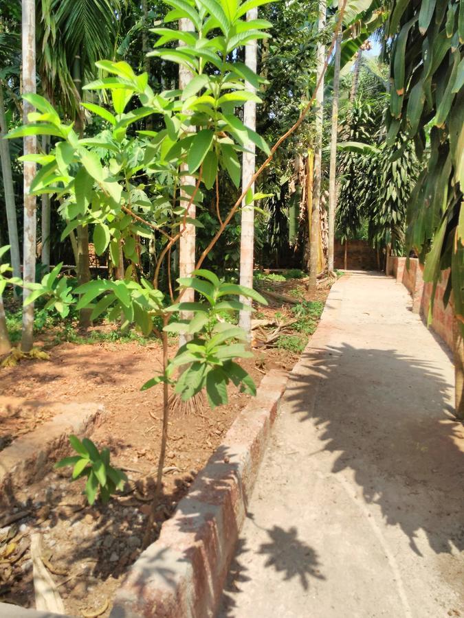 Cordel Farms منغالور المظهر الخارجي الصورة
